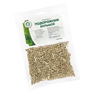 Подорожник большой