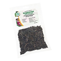 Башмачок пятнистый (венерин башмачок)