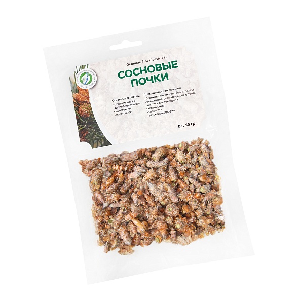 Сосновые почки