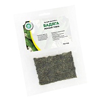 Бадяга (речная губка)