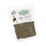 Багульник болотный (побеги)