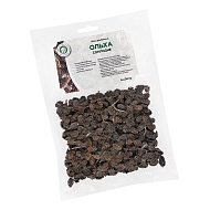 Ольха (соплодие)