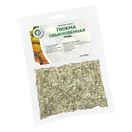 Пижма обыкновенная
