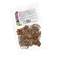 Левзея сафлоровидная (маралий корень)