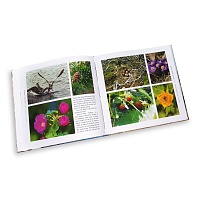 Книга «Прикоснись к Байкалу»