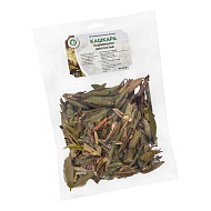 Кашкара (рододендрон золотистый)