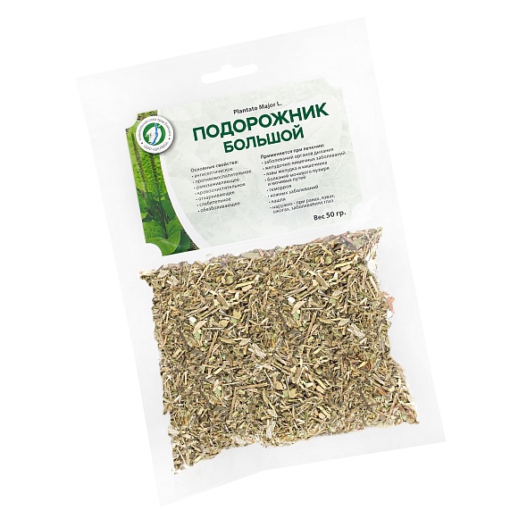 Подорожник большой