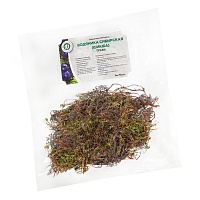 Водяника сибирская (шикша) (трава)