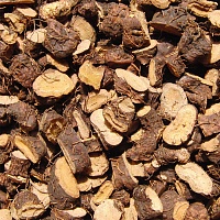 Горец змеиный (корень)
