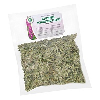 Кипрей узколистный (иван-чай)