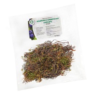 Водяника сибирская (шикша) (трава)