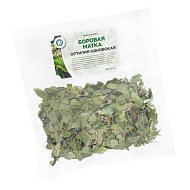 Боровая матка (трава)