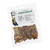 Омела белая